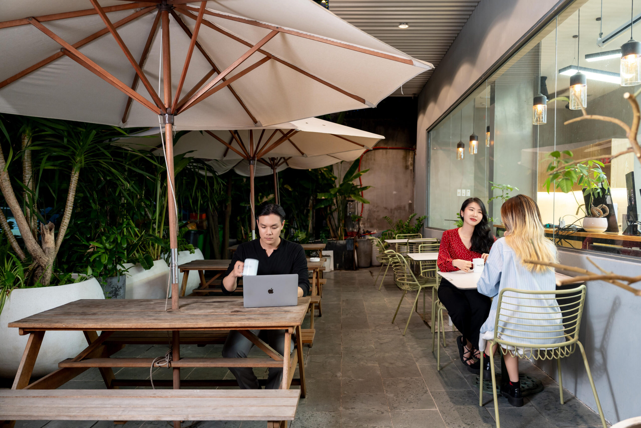 Outdoor Garden image